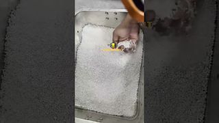 SanSongMelt-Granulator For Gold Silver Platinum Making Grains Precious Metals Granulating System